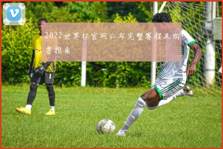 2022世界杯官网公布完整赛程及购票指南