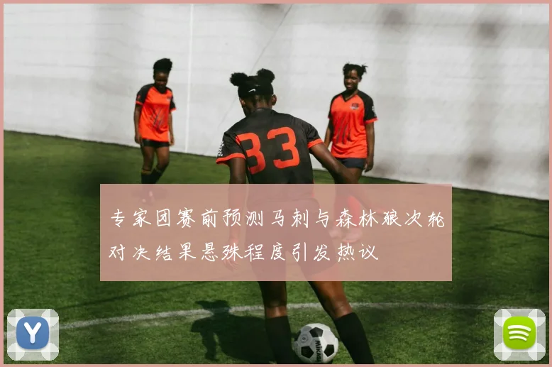专家团赛前预测马刺与森林狼次轮对决结果悬殊程度引发热议
